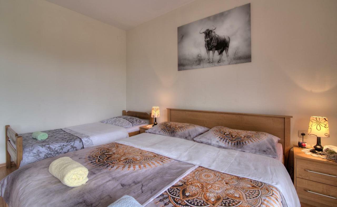 Apartment Marijanka Сень Экстерьер фото
